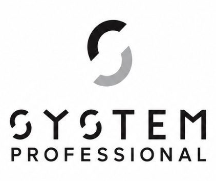 システムプロフェッショナル System Professional